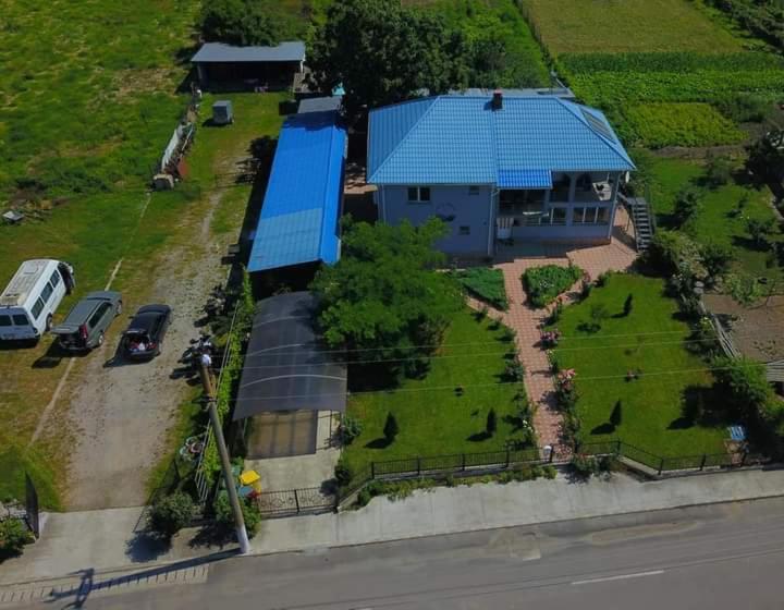 Casa Cu Trandafiri Murighiol Esterno foto