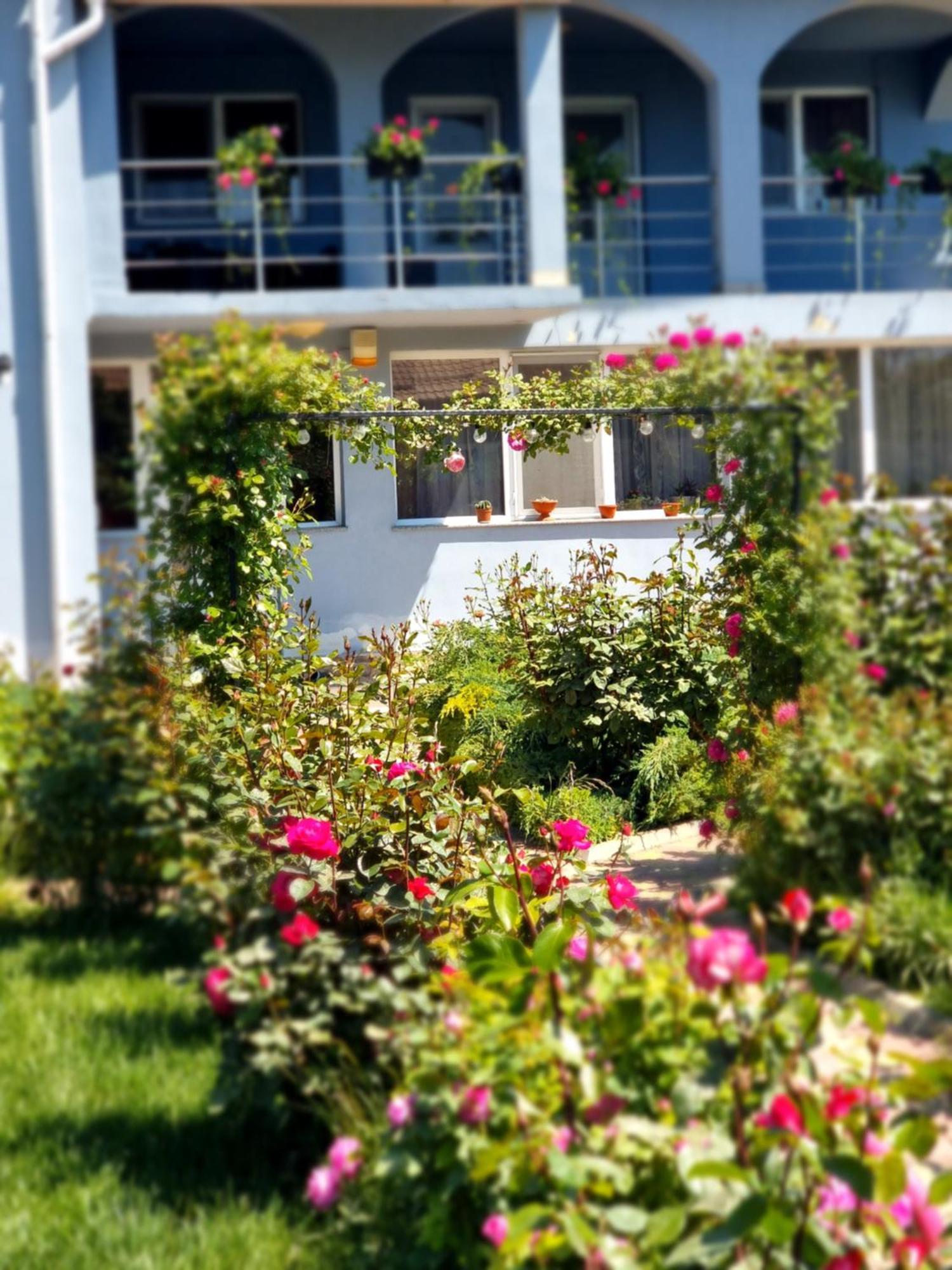 Casa Cu Trandafiri Murighiol Esterno foto