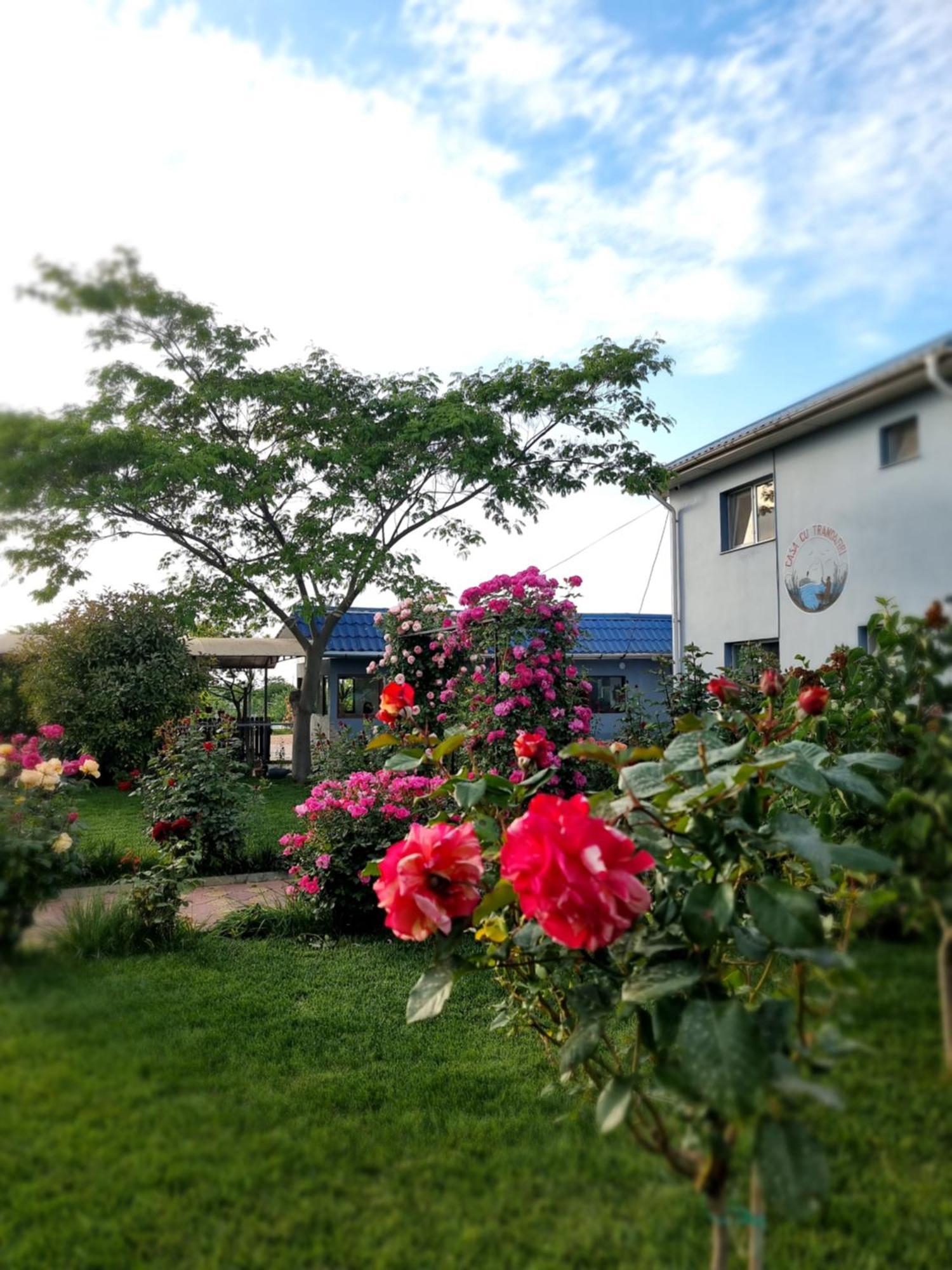 Casa Cu Trandafiri Murighiol Esterno foto