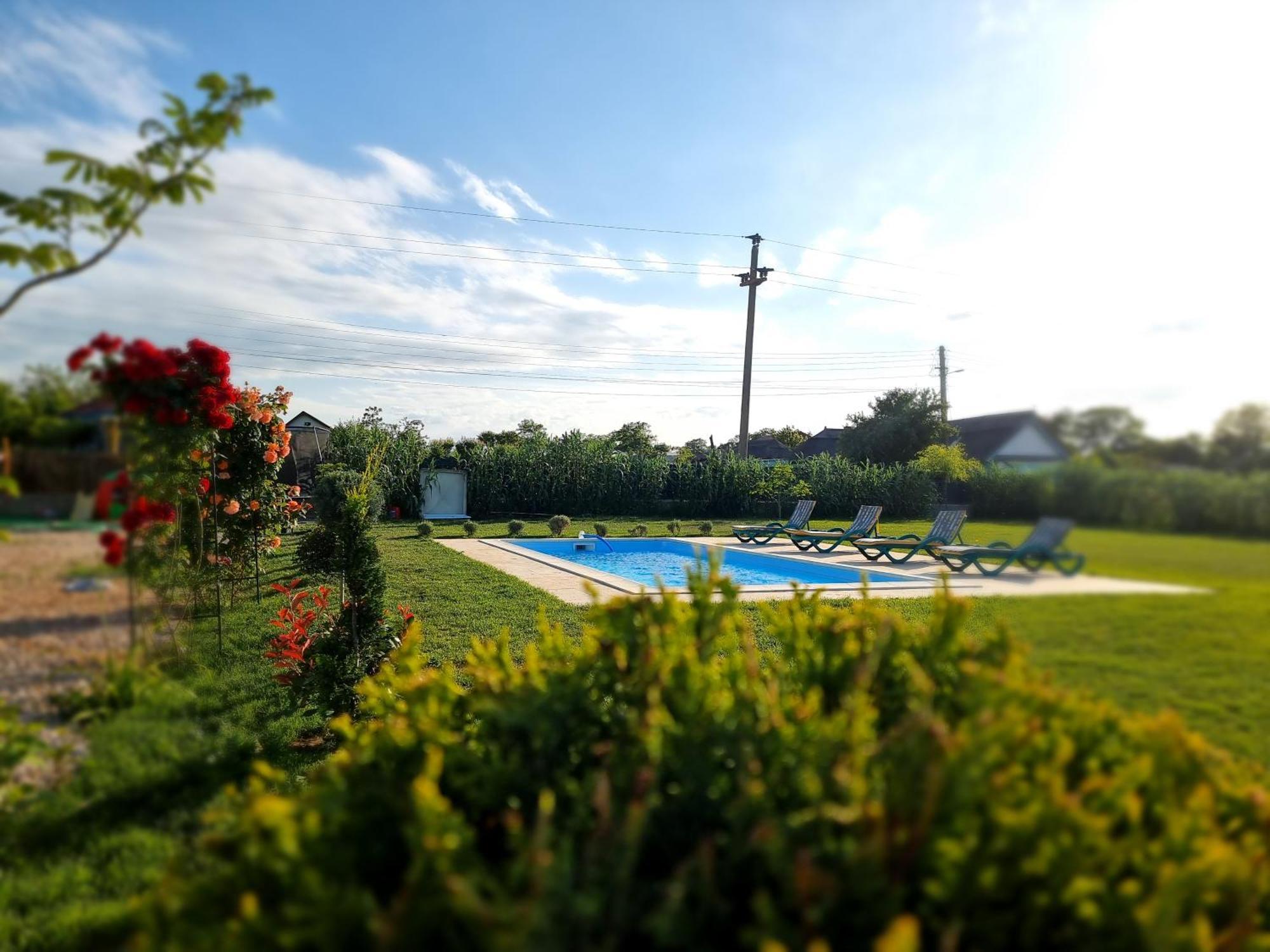 Casa Cu Trandafiri Murighiol Esterno foto
