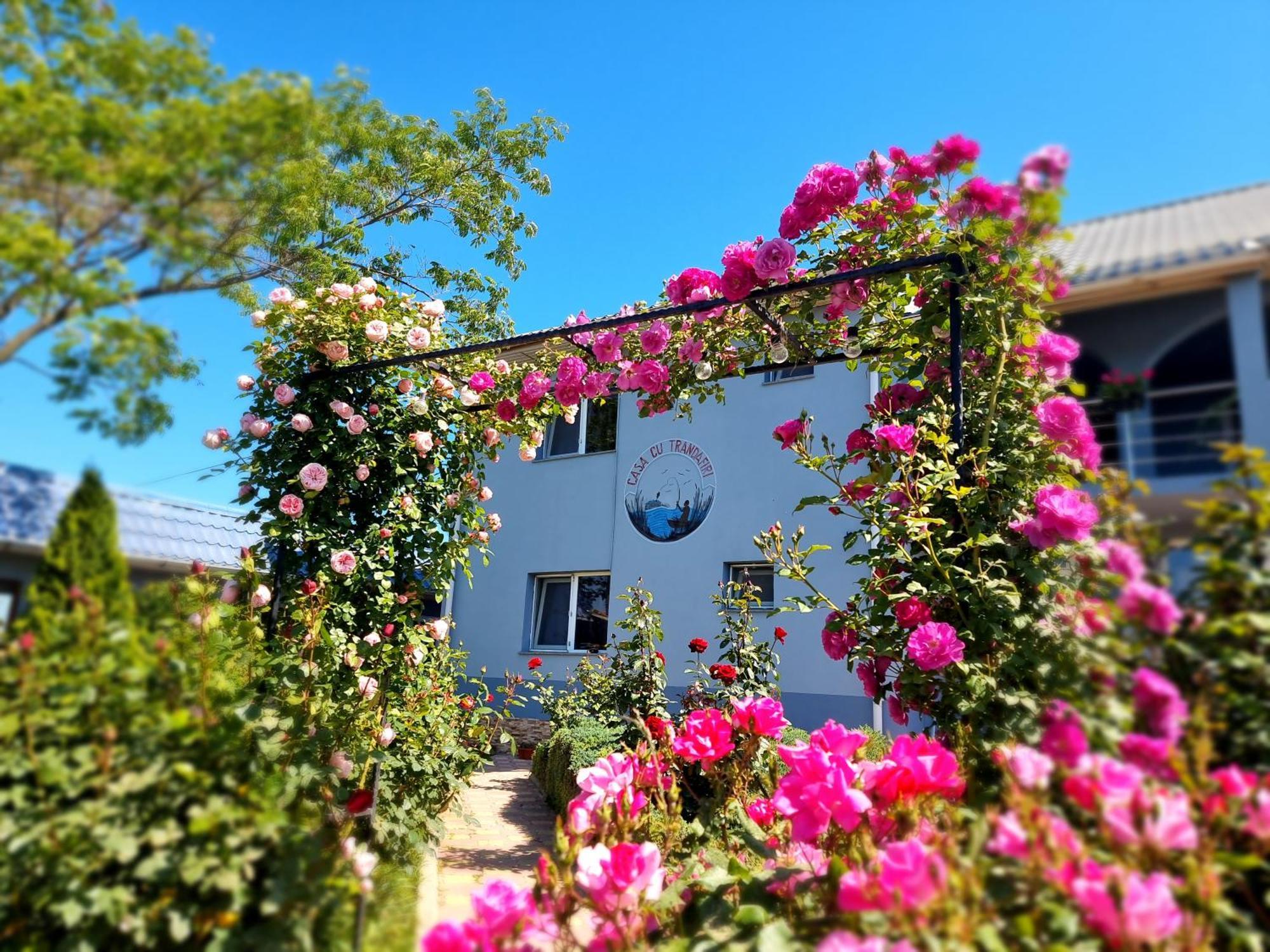 Casa Cu Trandafiri Murighiol Esterno foto