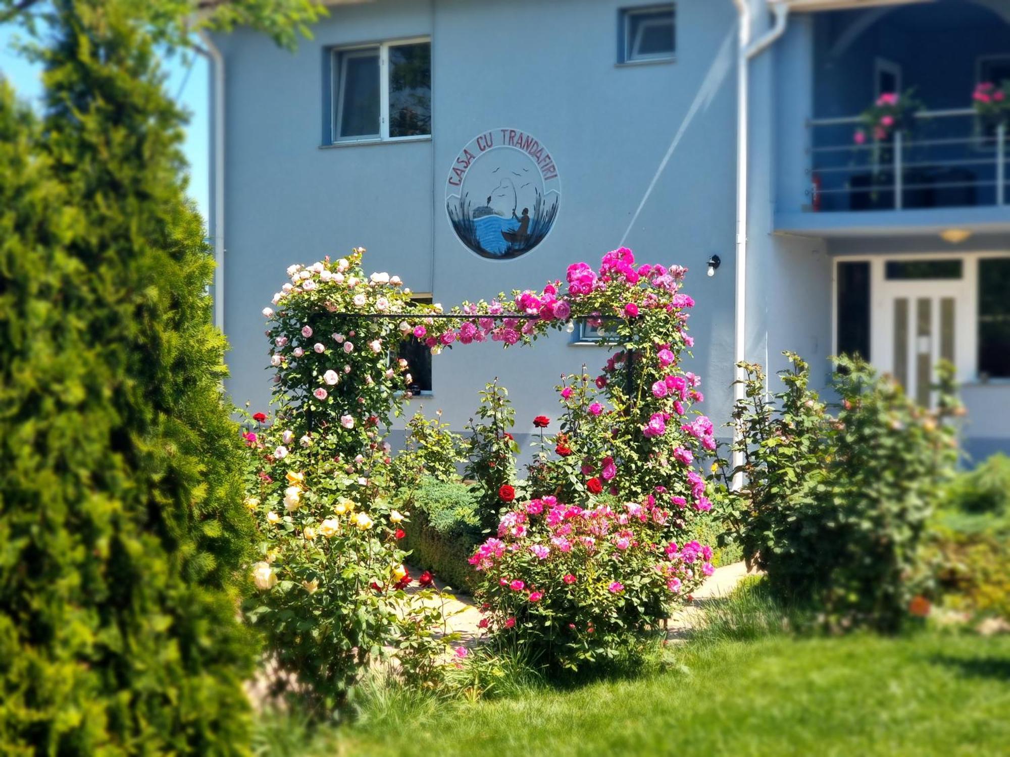 Casa Cu Trandafiri Murighiol Esterno foto