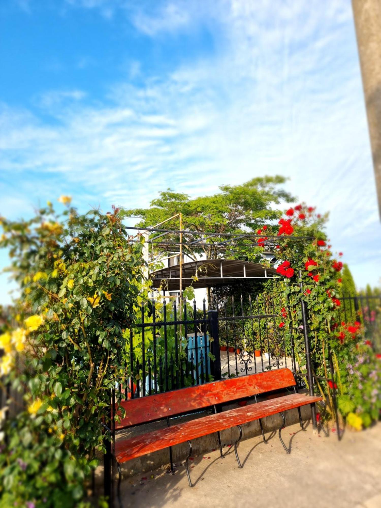 Casa Cu Trandafiri Murighiol Esterno foto