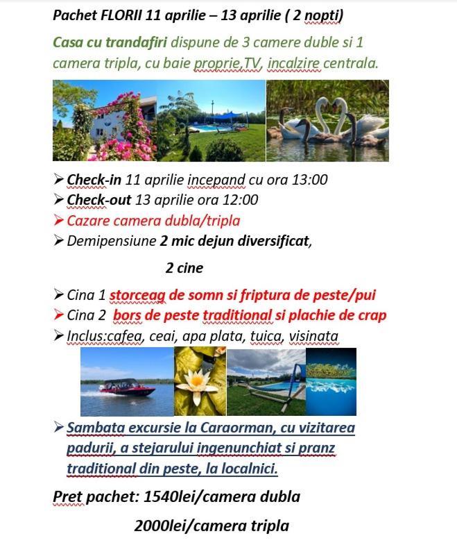 Casa Cu Trandafiri Murighiol Esterno foto