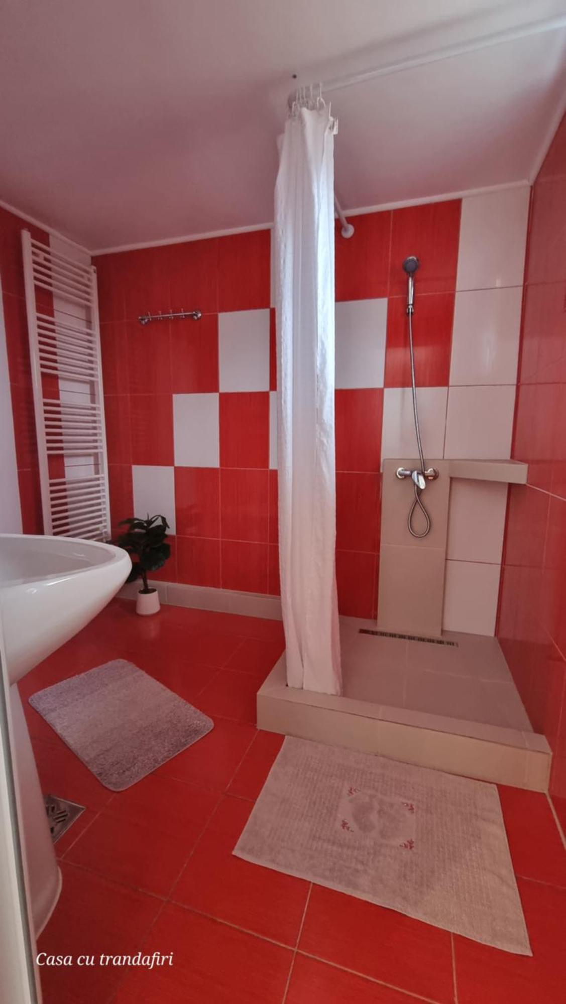 Casa Cu Trandafiri Murighiol Esterno foto
